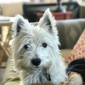 Meet your Posher, Stacy